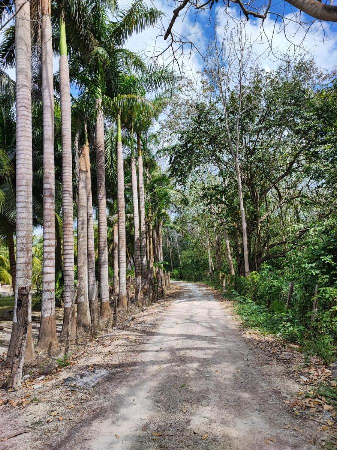Aldea Halkab-Pal Hostal Y Cabanas Huay Pix ภายนอก รูปภาพ